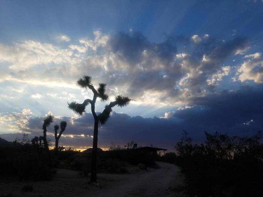 Steph'S Panorama Paradise-Nat'L Park Minutes Away Joshua Tree Eksteriør bilde
