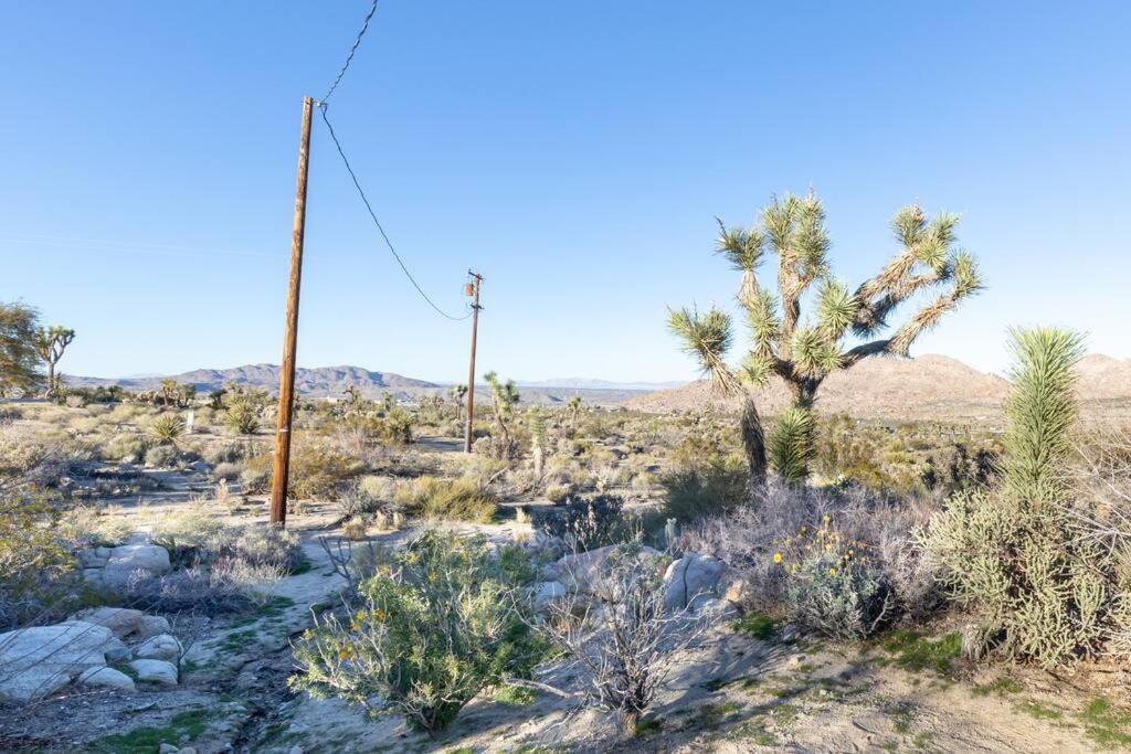 Steph'S Panorama Paradise-Nat'L Park Minutes Away Joshua Tree Eksteriør bilde