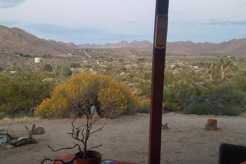 Steph'S Panorama Paradise-Nat'L Park Minutes Away Joshua Tree Eksteriør bilde