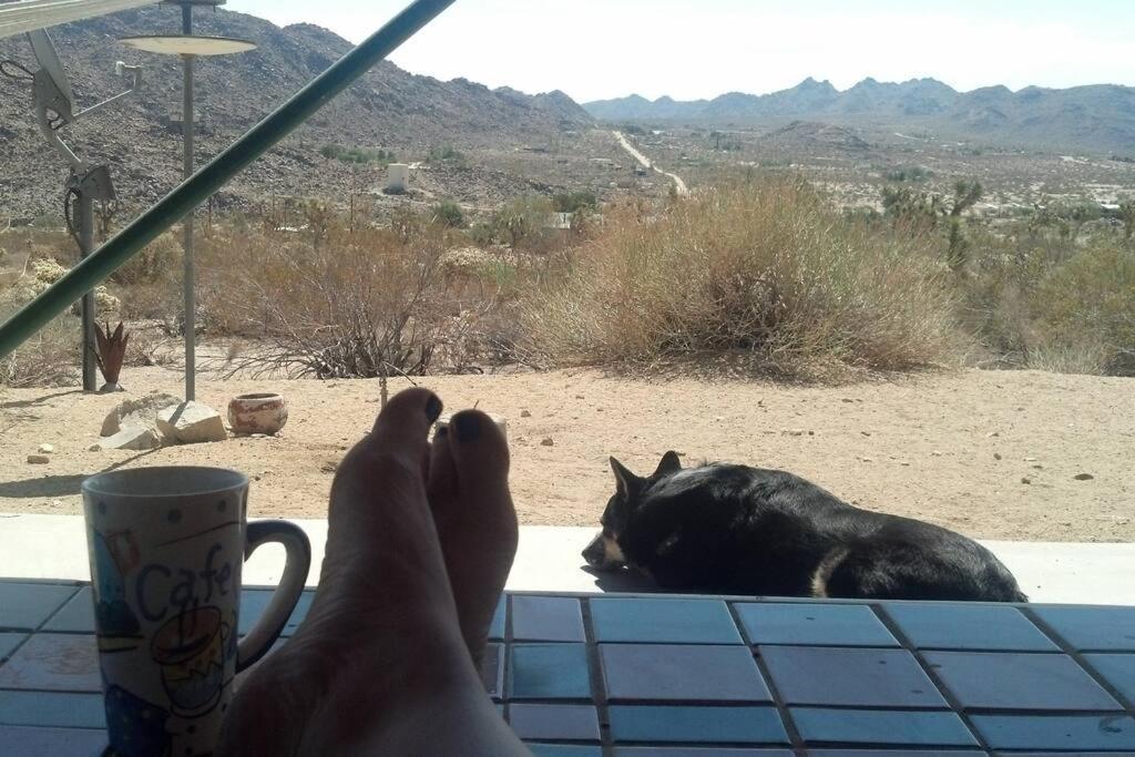 Steph'S Panorama Paradise-Nat'L Park Minutes Away Joshua Tree Eksteriør bilde