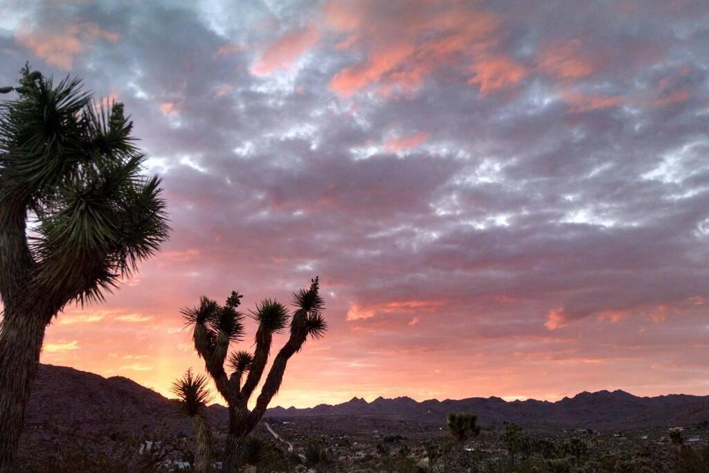 Steph'S Panorama Paradise-Nat'L Park Minutes Away Joshua Tree Eksteriør bilde