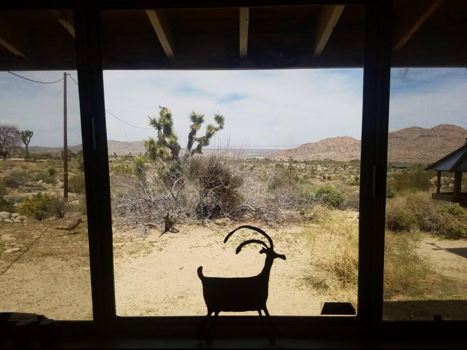 Steph'S Panorama Paradise-Nat'L Park Minutes Away Joshua Tree Eksteriør bilde