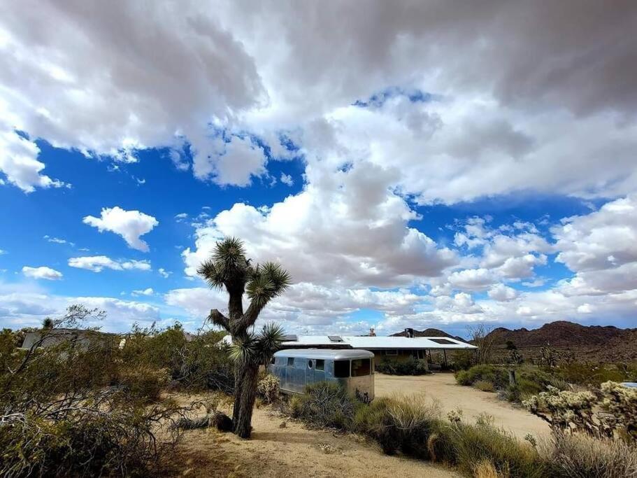 Steph'S Panorama Paradise-Nat'L Park Minutes Away Joshua Tree Eksteriør bilde